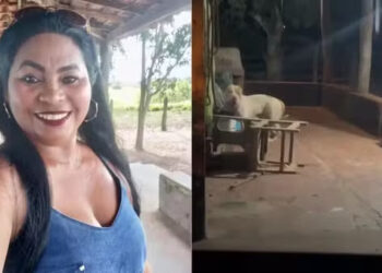 MA – Mulher morre após ser dilacerada pelo próprio pitbull em Bacabal
