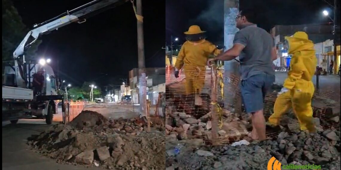 Ação da Brigada Anjos Jacuipenses conta com caminhão munck para remoção de abelhas, em Ichu