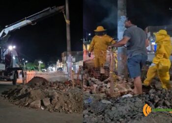 Ação da Brigada Anjos Jacuipenses conta com caminhão munck para remoção de abelhas, em Ichu