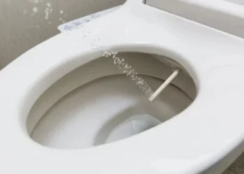 Fim do papel higienico? Conheça a nova tecnologia que pode decretar fim do material nos banheiros do mundo