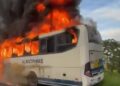 Incêndio atinge ônibus quando trafegava pela BR 110