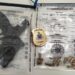 Arma de fogo utilizada em homicídio é apreendida em Serrinha