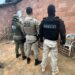 Operação ‘Ninho de Falcão’ é deflagrada contra organização interestadual de tráfico de animais silvestres