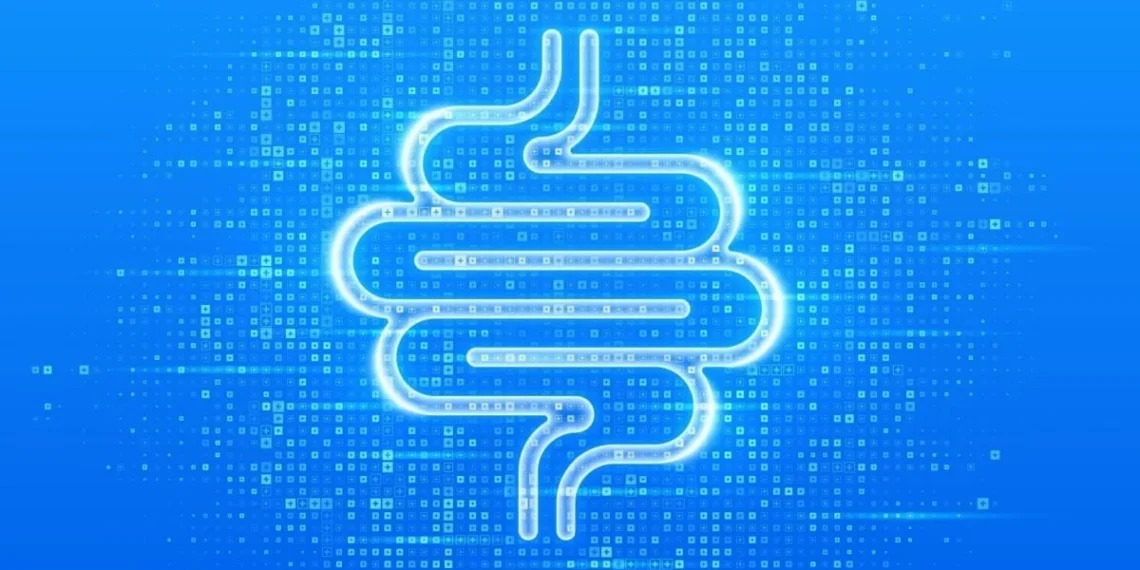 SUS adota novo exame para detectar câncer de intestino antes de sintomas