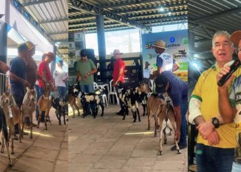 ExpoGavião é aberta com grande participação de público e ações de fortalecimento da agropecuária
