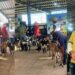 ExpoGavião é aberta com grande participação de público e ações de fortalecimento da agropecuária