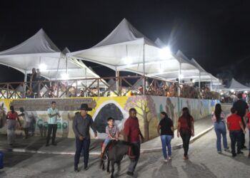 ExpoGavião se consolida entre as maiores feiras agropecuárias da Bacia do Jacuípe pela quantidade de expositores e qualidade da genética dos animais