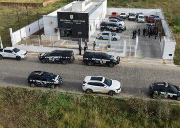 Operação Consanguíneos prende dois irmãos por homicídio em Queimadas e apreende armas em Santaluz