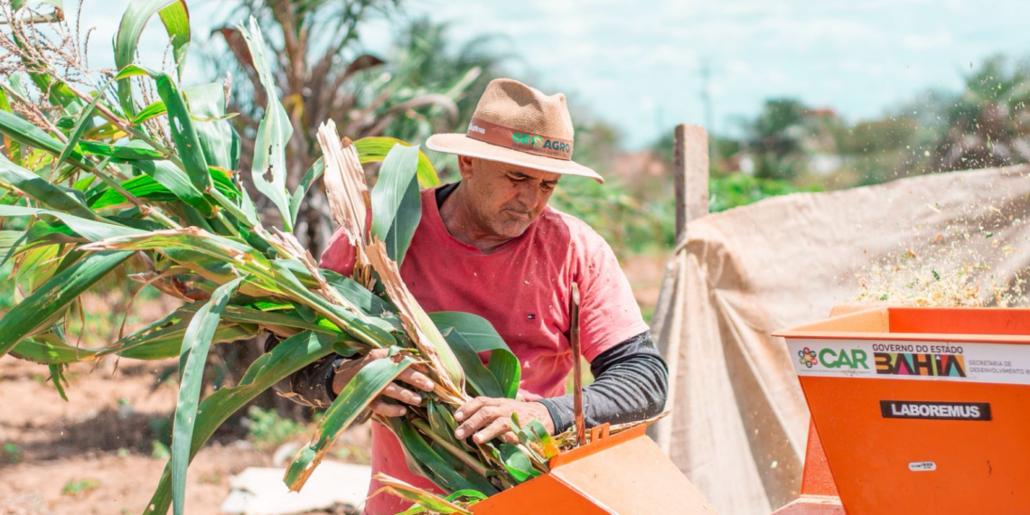 Pagamento do Garantia-Safra foi liberado nesta quarta-feira para agricultores familiares de Coité