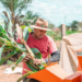 Pagamento do Garantia-Safra foi liberado nesta quarta-feira para agricultores familiares de Coité