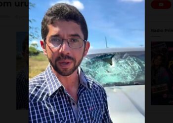 Prefeito relata susto após carro colidir com urubu