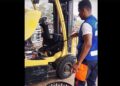 Tamanduá-bandeira é resgatado de dentro de empilhadeira pela Brigada Anjos Jacuipenses em Vila Aparecida