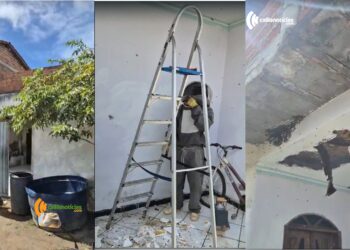Ataque de abelhas deixa moradores em pânico em Riachão do Jacuípe; mulher é hospitalizada em estado grave