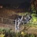Homem morre após carro sair da pista e bater em poste de rede elétrica