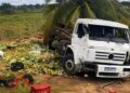 Caminhão carregado de verduras tomba após colisão com jumento na BA-130