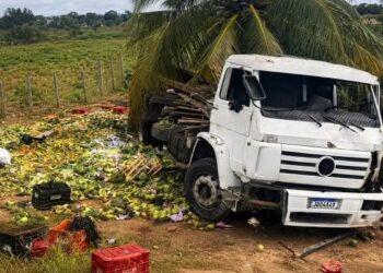 Caminhão carregado de verduras tomba após colisão com jumento na BA-130
