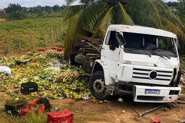 Caminhão carregado de verduras tomba após colisão com jumento na BA-130