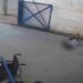 Criminosos invadem Policlínica, arrastam jovem e cometem execução