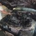 Fiat Uno é parcialmente destruído por incêndio às margens da BA-409