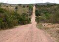 Governo abre licitação para asfaltamento da BA-408 trecho ligando Poço Grande em Araci e Santaluz