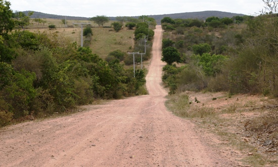 Governo abre licitação para asfaltamento da BA-408 trecho ligando Poço Grande em Araci e Santaluz