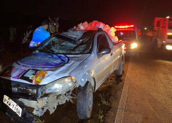 Carro atinge cavalo na BA-120 e passageira é socorrida pelo Águia Resgate
