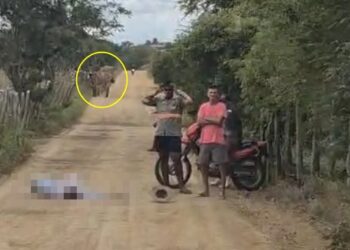 Lavrador de 81 anos morre após cair de burro
