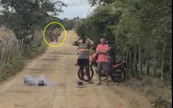 Lavrador de 81 anos morre após cair de burro