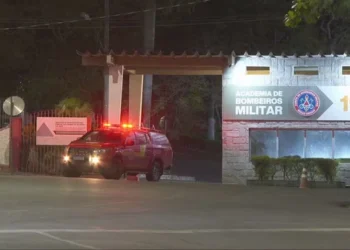 MG – Bombeiro morre em queda durante curso de operações em árvores