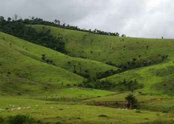 Paisagem típica da Costa do Descobrimento