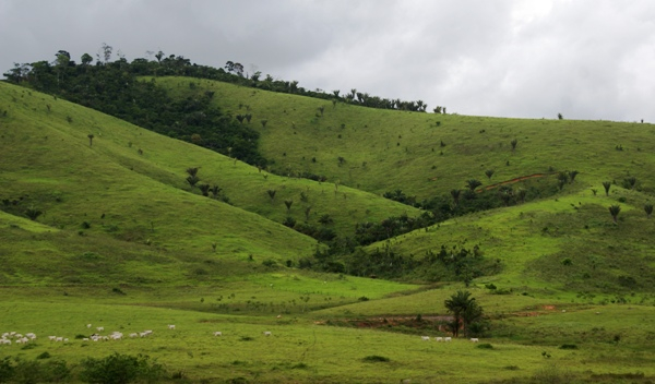 Paisagem típica da Costa do Descobrimento
