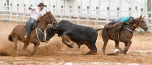 Para quem gostar de assistir a derrubada do boi a entrada é gratuita
