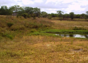 Internauta reclama abandono do Açude de Bandiaçú