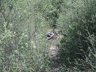 Corpo de idoso é encontrado carbonizado no Bairro da Santa em Serrinha