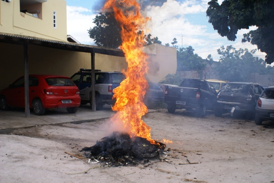 Coité: Polícia Civil incinera mais de 80 kg de maconha