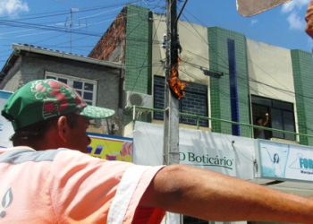 Coité: Pardal causa mais prejuízo a OI