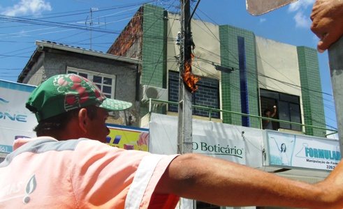 Coité: Pardal causa mais prejuízo a OI