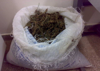 PRF apreende mais de 7 Kg de maconha na BR-116 em Euclides da Cunha