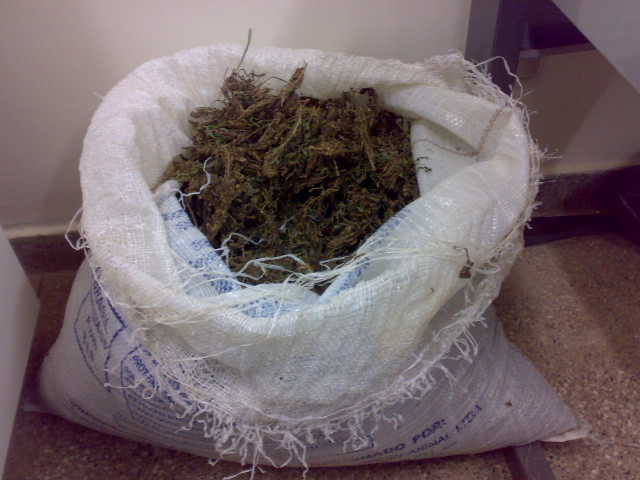 PRF apreende mais de 7 Kg de maconha na BR-116 em Euclides da Cunha