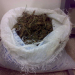 PRF apreende mais de 7 Kg de maconha na BR-116 em Euclides da Cunha