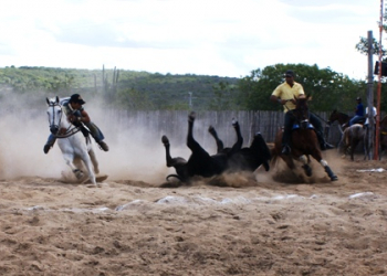 Santaluz:Povoado de Serra Branca realizou mais uma concorrida vaquejada