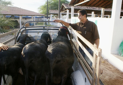 Zé Mario - sec de Agricultura de Coité - foto: Raimundo Mascarenhas