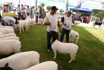 Secretário da Agricultura visita exposição de Coité