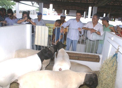 Secretário da Agricultura visita exposição de Coité