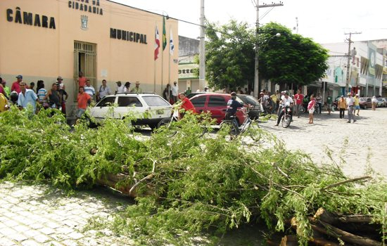 Moto-boys se manifestam contra o corte de Algaroba em Riachão do Jacuípe