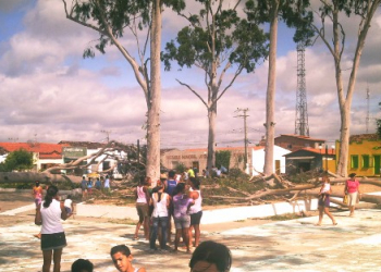 População de Riacho da Onça – Queimadas, revoltada com derrubada de eucaliptos