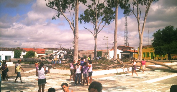 População de Riacho da Onça – Queimadas, revoltada com derrubada de eucaliptos