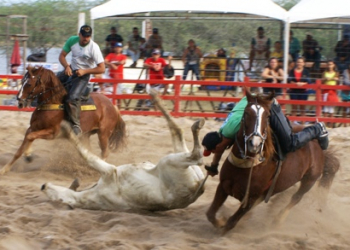 Vaquejada do Parque Cunha Macedo termina coroada de êxito