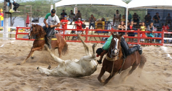 Vaquejada do Parque Cunha Macedo termina coroada de êxito