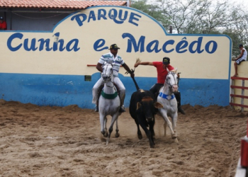 Vaquejada do Parque Cunha Macedo termina coroada de êxito